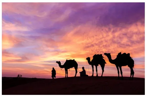 04 Nights 05 Days Jodhpur Jaisalmer Desert Desert Tour Package