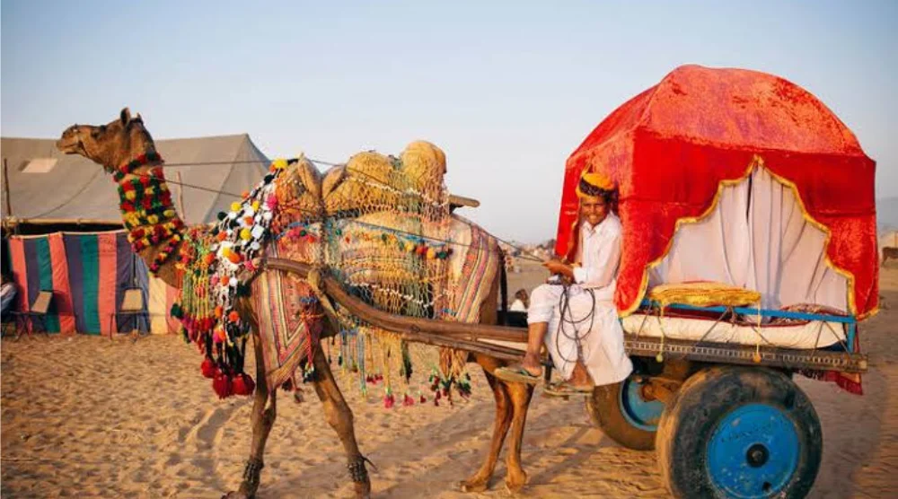 Camel Cart Safari Sand Duens, Rajasthan